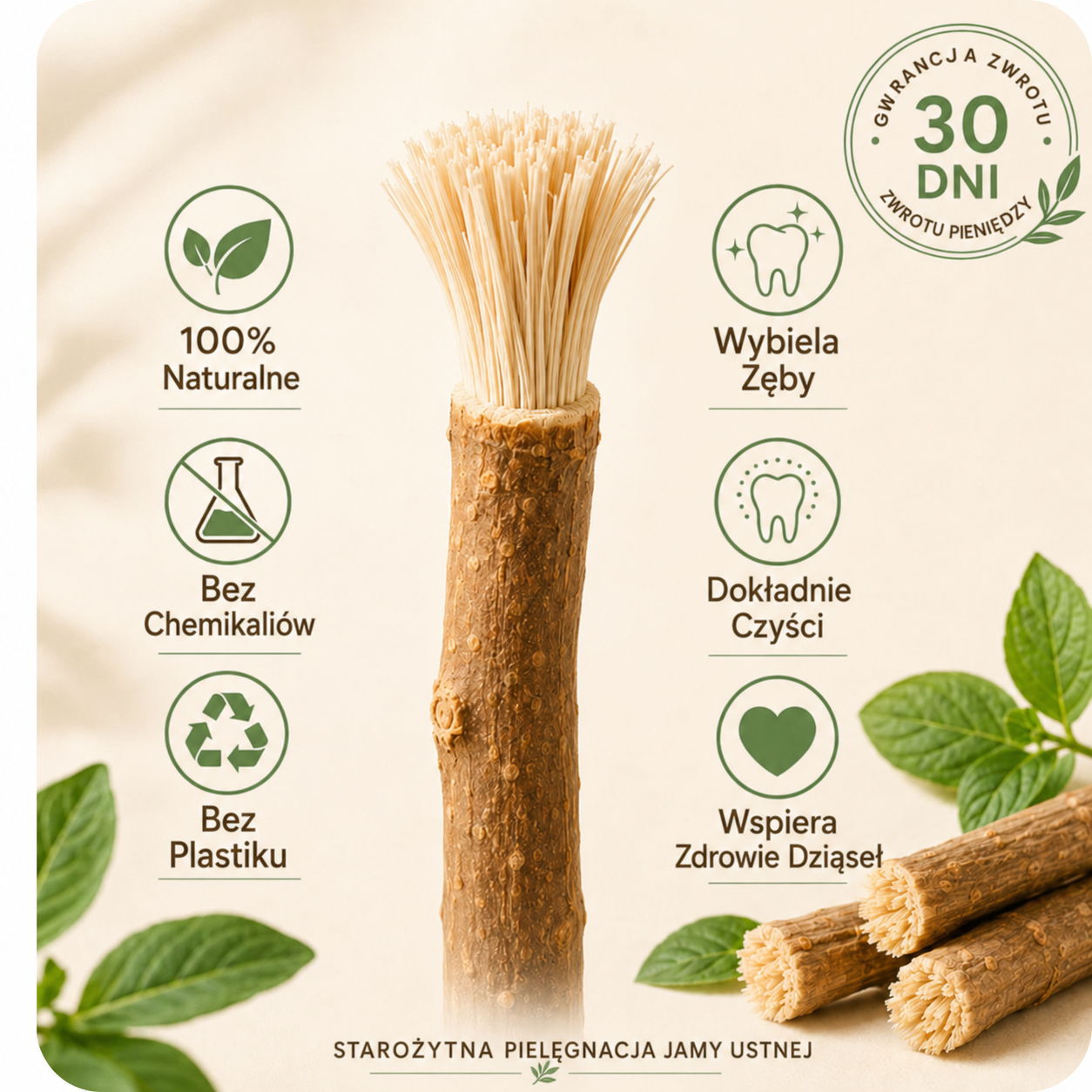 StickBrush — Naturalna Szczoteczka do Zębów